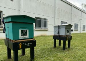 Journée mondiale des abeilles