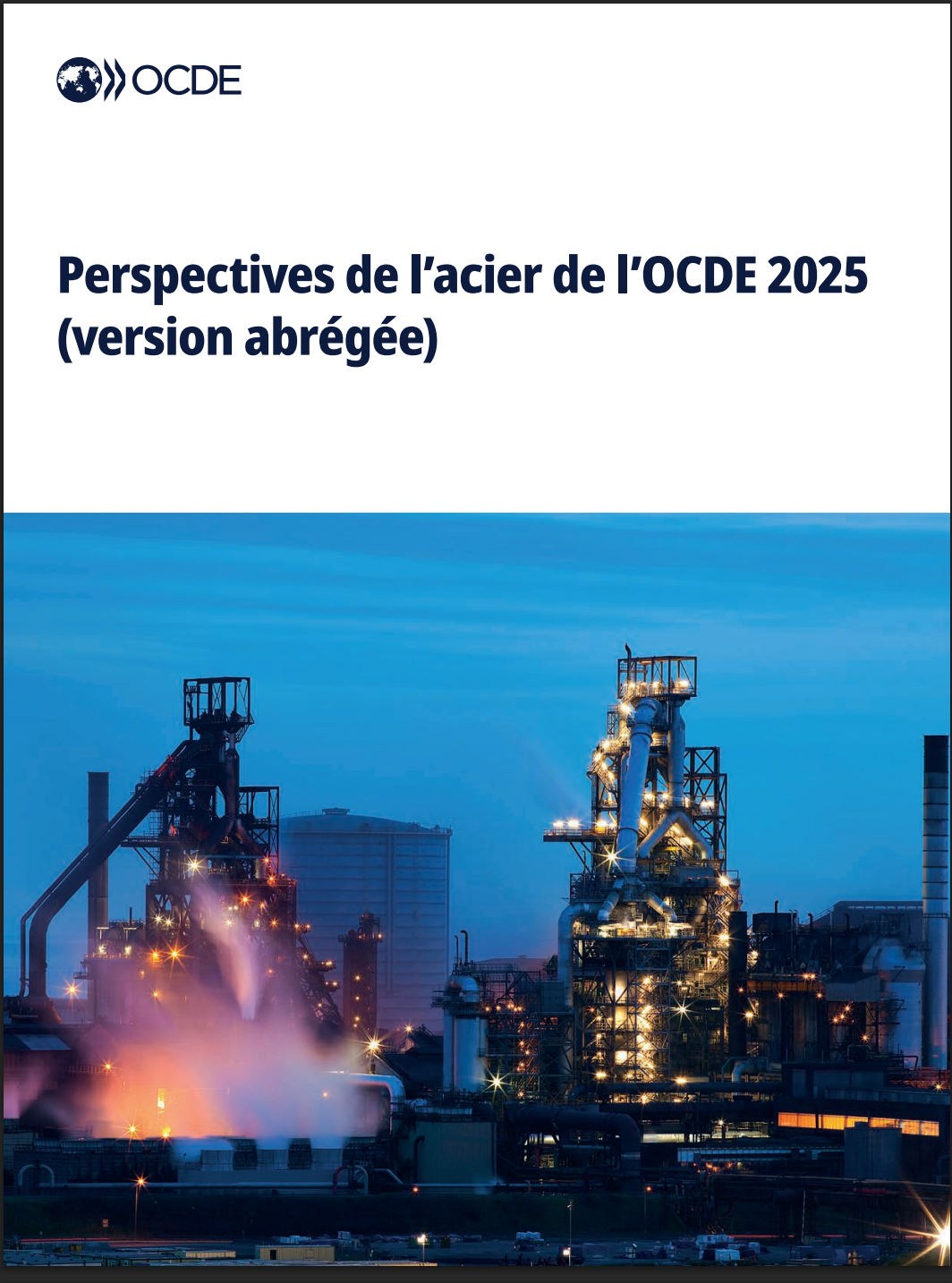 Rapport ocde sur les perspectives de l'acier 2025