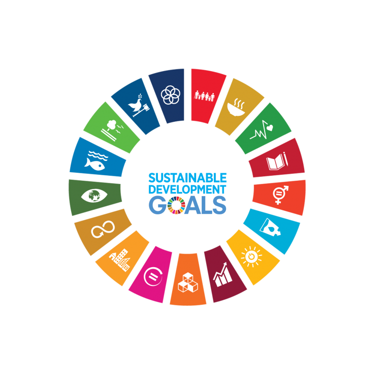 Logo sur les objectifs durables des Nations Unies