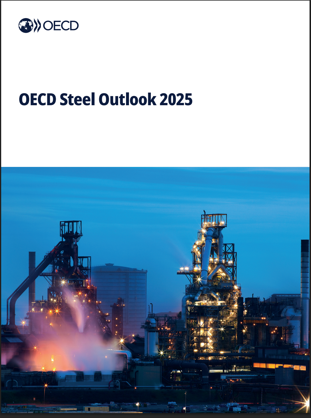 Green Steel Transition and Global Market Outlook